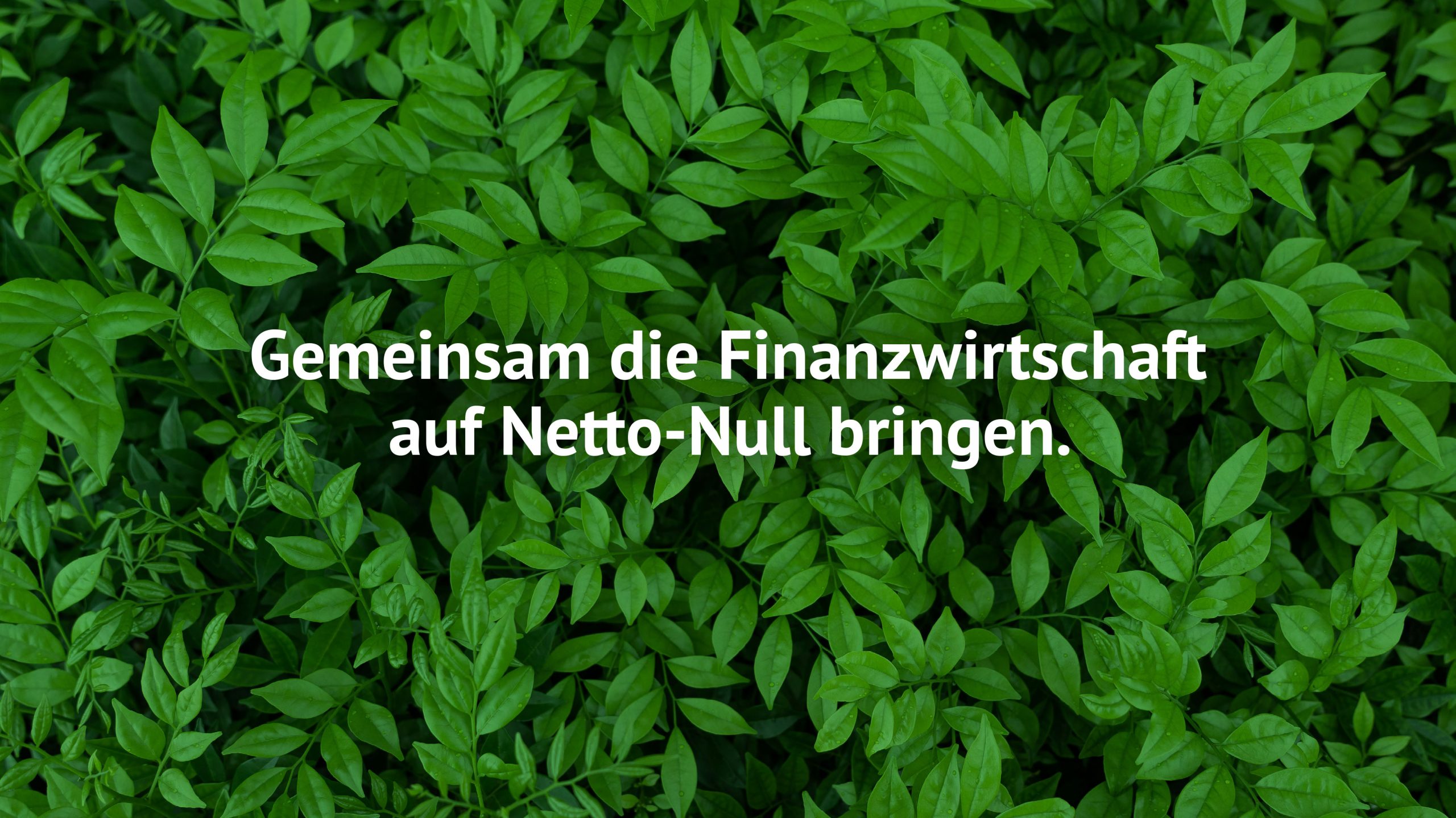 uliviereck_sfcp_02_16-9_4000x2250